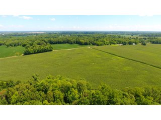 Property photo 45 - LAND AUCTION - 1,193+/- ACRES IN 14 TRACTS IN PIKE & GIBSON COUNTY, INDIANA